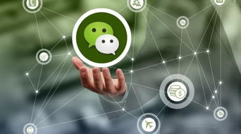 微信上千萬(wàn)別做的危險(xiǎn)行為，三言兩語(yǔ)就可能送你坐牢